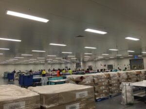 Maximising Efficiency in Your Re-pack & Co-Pack Operations