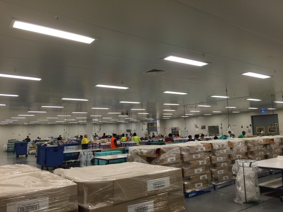 Eco Choice Repack Services